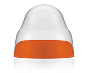 �����ǌ��ڏ���ƿ�w�Æ���