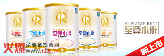 ��(y��u)ؐ���� ����С�ס�ϵ�РI�B(y��ng)С�׷�����