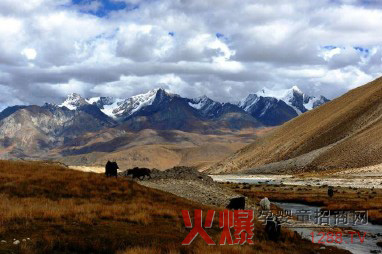 �ЈD������ ��ǧ����(y��u)�|(zh��)��ţ��Դ