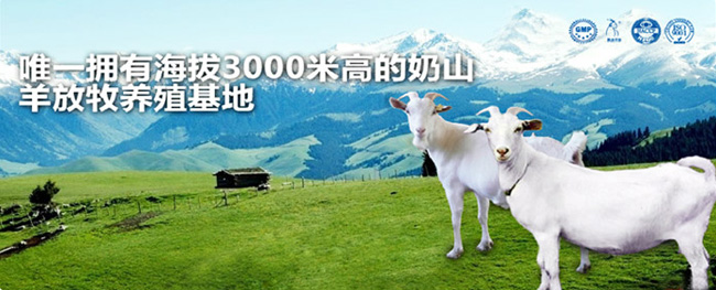 羊奶基地