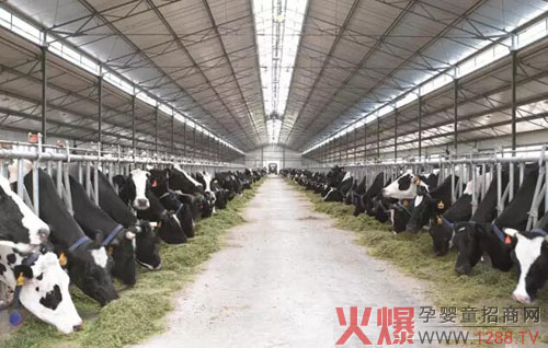 ��V�x������ţ����Ʒ���M(f��i)�Ј�(ch��ng)��  �xɽ��(chu��ng)�¸�Ч����ģʽ��(y��ng)��(du��)�̘I(y��)�³��B(t��i)