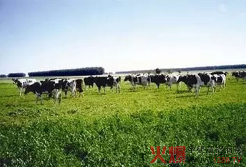 �����С���R(sh��)���Կ���(gu��)���J(r��n)�O(ji��n)ί���x���������(gu��)�ЙC(j��)ʳƷ��(bi��o)��(zh��n)��