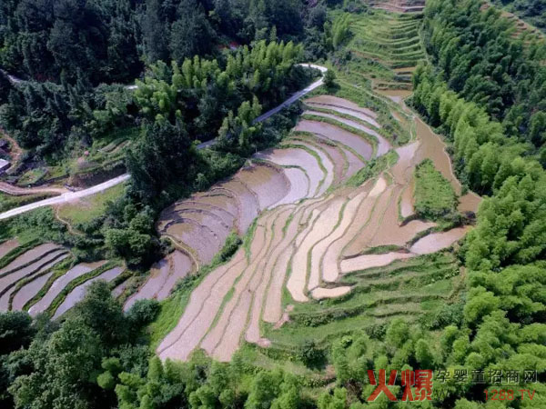 Ʒ�|��������֮���׷���Π�ȡһ�����B�iĸ������