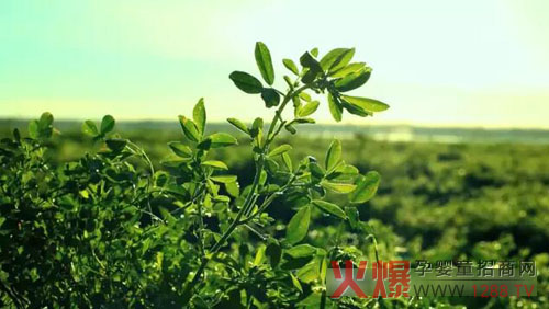 �xɽţ�̟���ӛ��������(ch��ng)������ �����֎ײ���