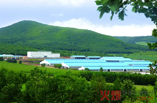 �l(f��)չ���w��(j��ng)�������_ɽ���Є���