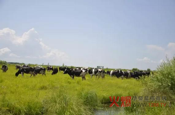 ���_ɽ�̷۞�Ε��ܵ��@ô���˵�ϲ����