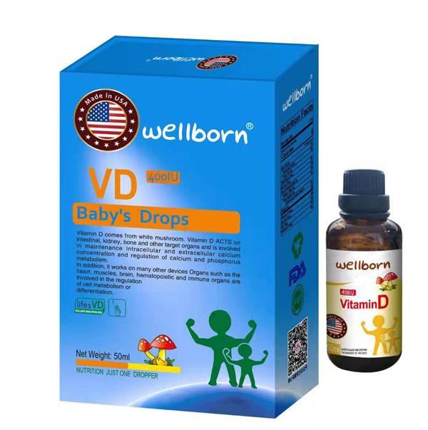  wellborn�S����D3