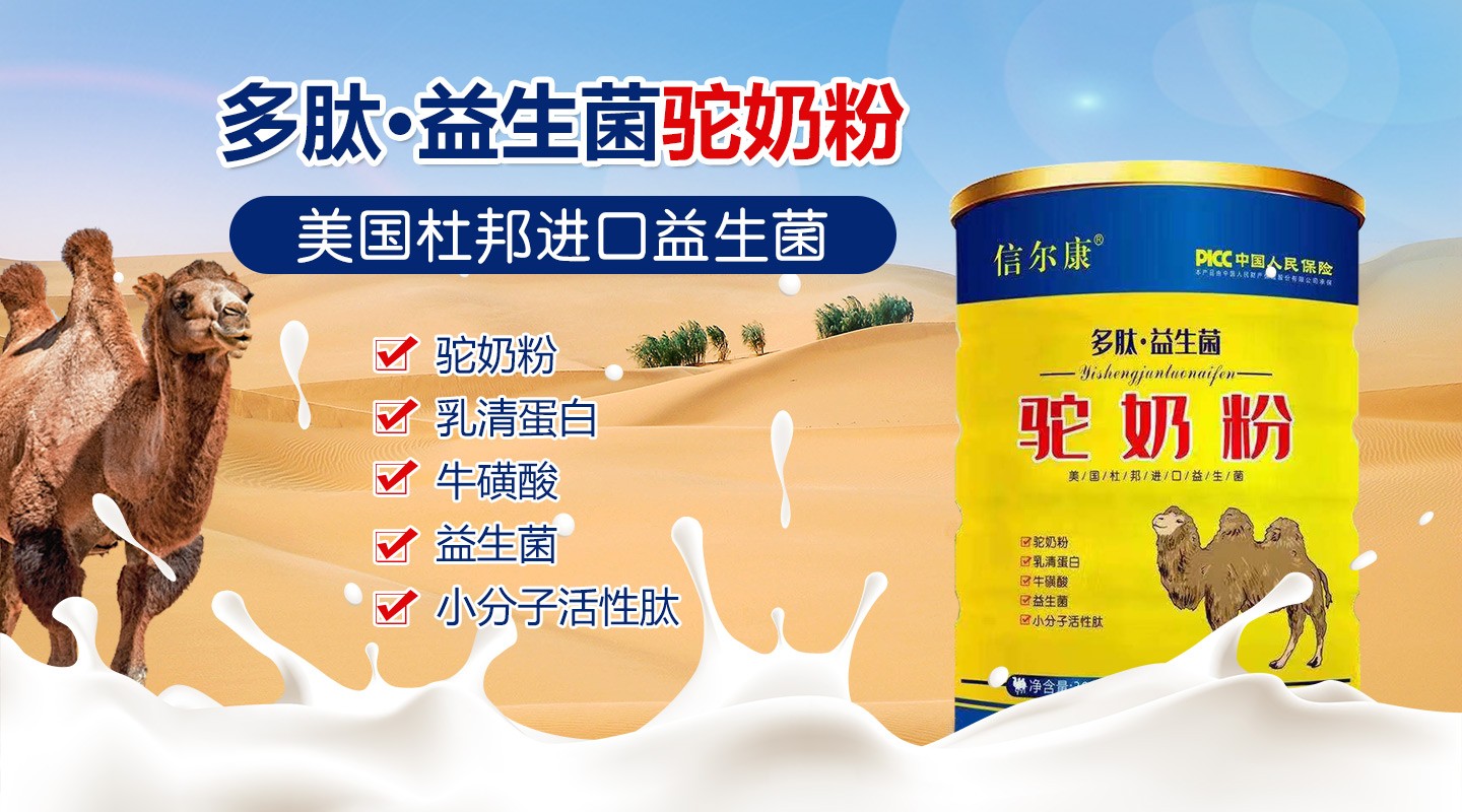 �Š���������������̷�