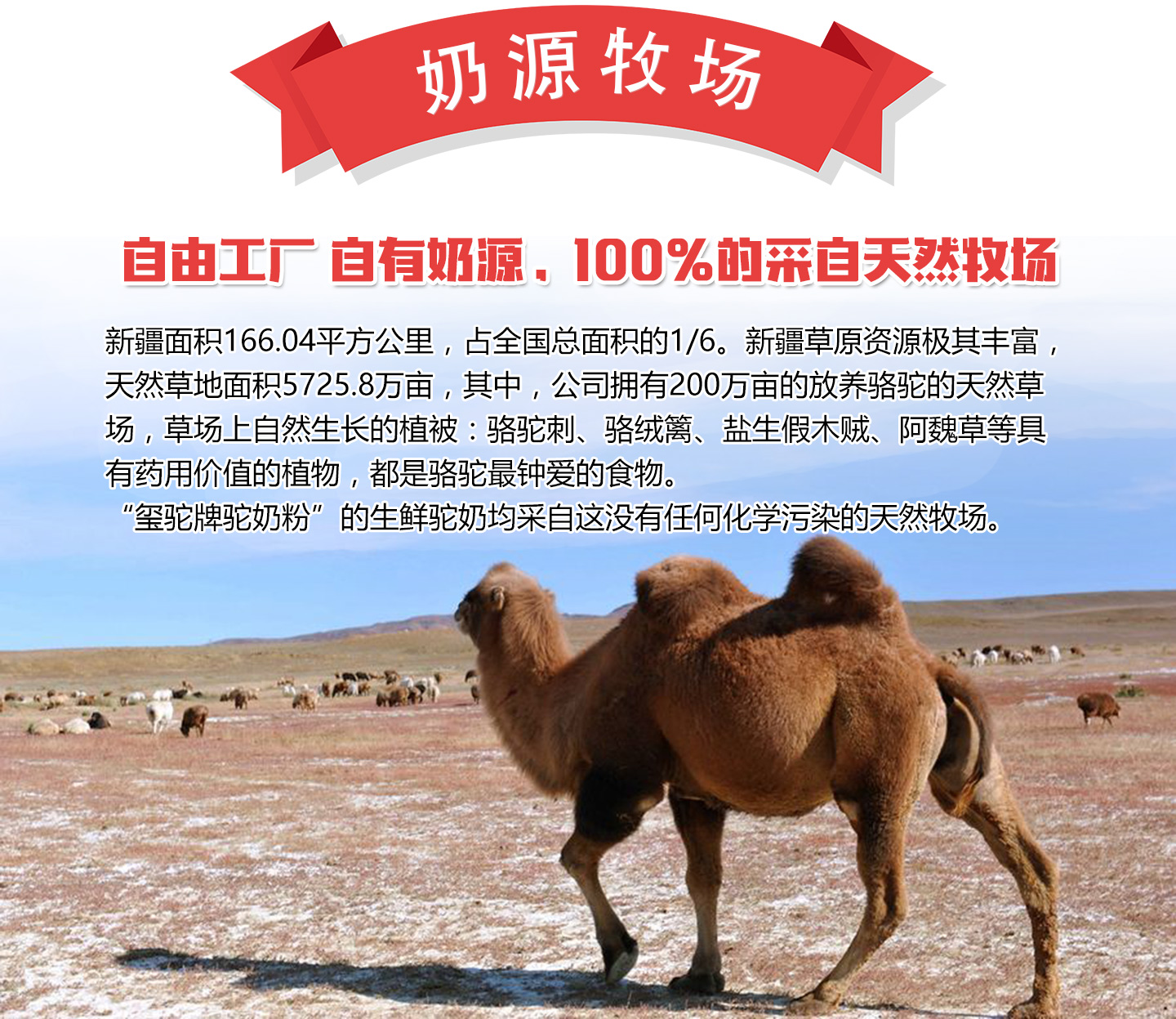  ���R�t�������Դ����