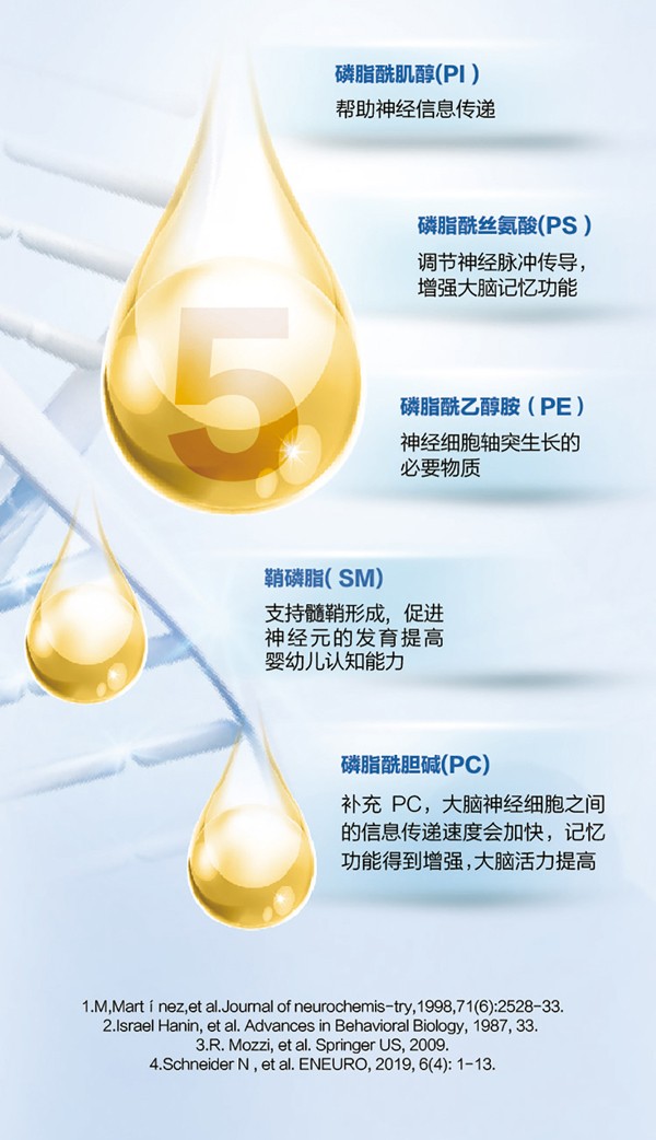   ؐ������Խ�׃��䷽�̷�(12-36���g��3��)4