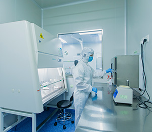  ��������S19