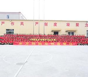  �|�������a(ch��n)���(f��)Ԫ6 (2)