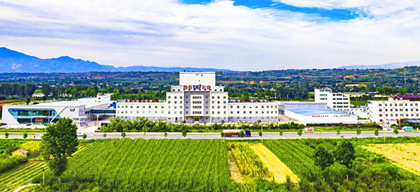 嚴把質(zhì)量做標桿.jpg 嚴把質(zhì)量做標桿.jpg