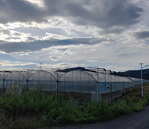  ΢�ňDƬ_20251216165044_369_9