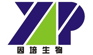 �ؑc�������＼�g(sh��)���޹�˾