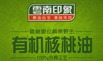 ����ӡ�󽡿��a(ch��n)�I(y��)Ͷ�Y�l(f��)չ���޹�˾