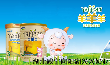 ������������Ƽ����޹�˾