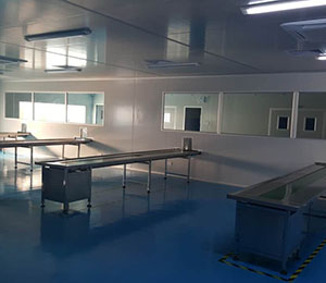 ؐ�򃺏S(ch��ng)��