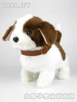 ��֮������ʥ��{