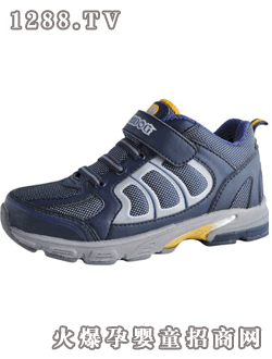 �����Ñ�(h��)��ԽҰ��Ьϵ��