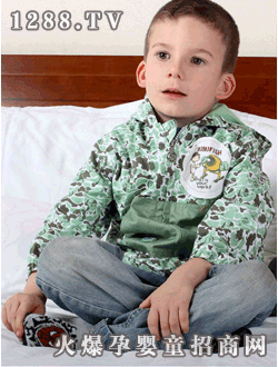 �������bmimifish04