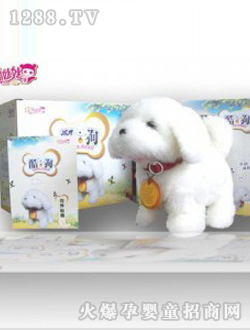 �ǿ��Z���ṷ ������