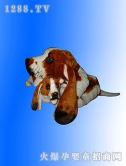 ���ҷ��������ɫ����ĸ�ӹ�