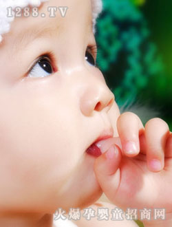 ���Ȑ�ؐ��ע�Č���