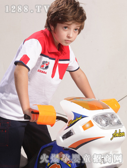 �����R��ɫ���b