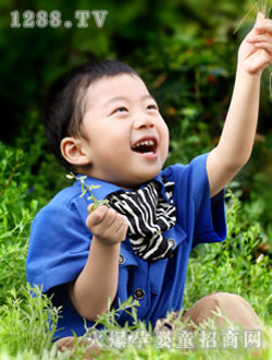 Λρ���󌚌���Ƭ