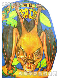 С��̖(h��o)�����L(f��ng)�����w�������ģ�