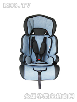 ��ͯ��ȫ����DSC_0386