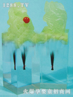 ��(��i)��̥ë��������ţ��