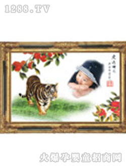 �Q��þÌ�������̥ë��(hu��)