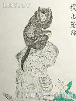 �Q��þú���̥ë��(hu��)