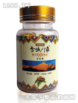 ѩ��ӡ��Ұ���ЙC(j��)������ܛ�z��