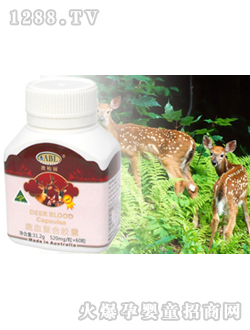 �İ���¹Ѫ�z��