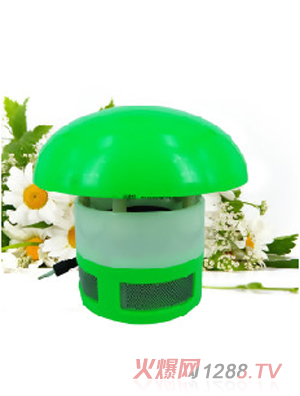 �����ѹ��|���ß�