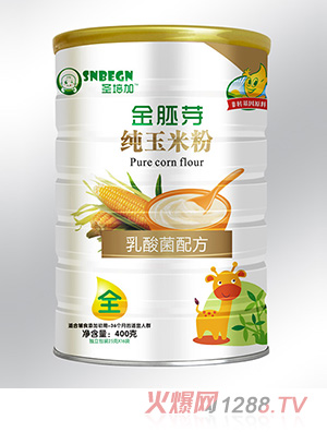 ʥ��ӽ���ѿ�����׷�������䷽