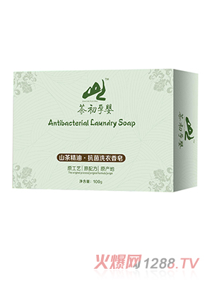 ����Ћ�ɽ�辫�Ϳ���ϴ������