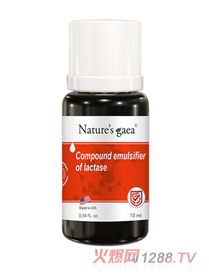 �R˼�P������ø