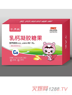 ʮ�������z�ǹ� ���}