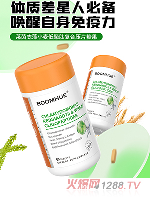 BOOMHUE�����R������С���;��ďͺω�Ƭ�ǹ�