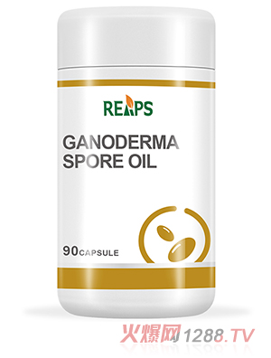 �`֥������ܛ�z��