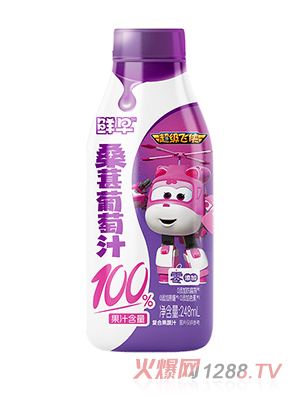 �r�糬���w�bɣ������֭248mL