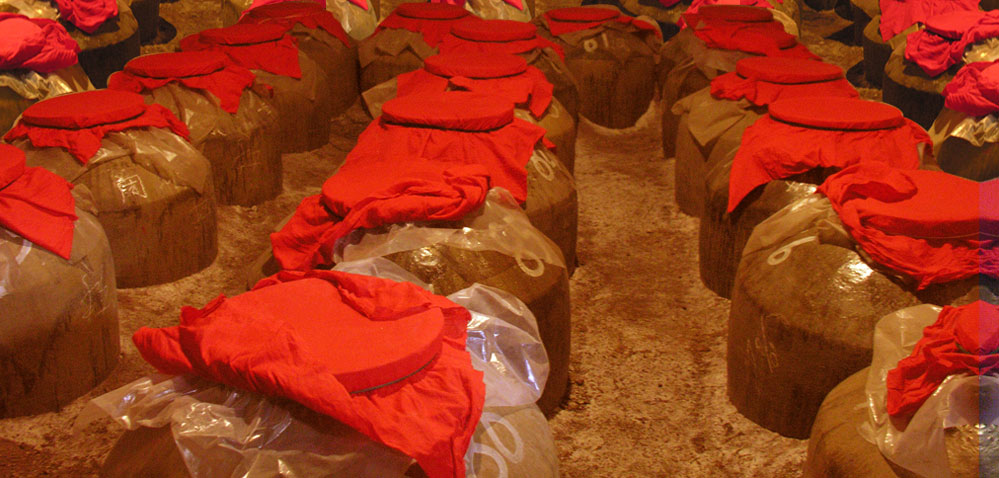 ����ɽ��(zh��n)�԰l(f��)����ĸ��l(f��)չՓ���F(xi��n)��